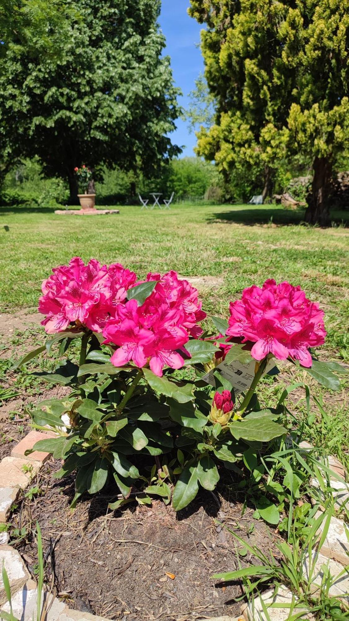 فندق La Rose Paisible Brusson المظهر الخارجي الصورة